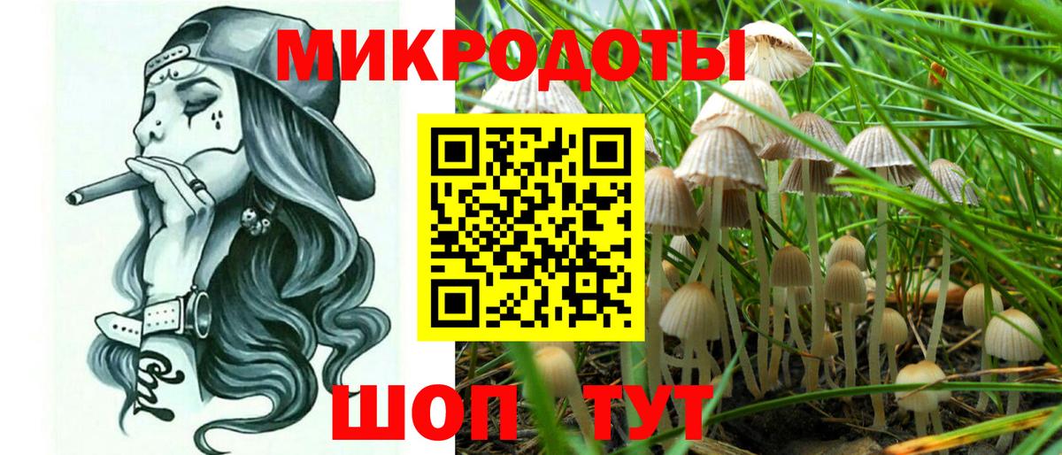 Галлюциногенные грибы Cubensis  Вход с VPN  Алексин  Галлюциногенные грибы Magic Shrooms 